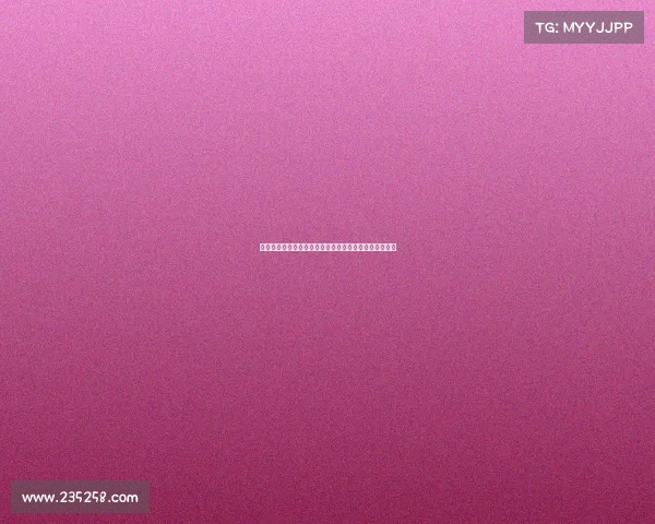 面对四份合同如何选择最适合你的那一份分析与决策技巧